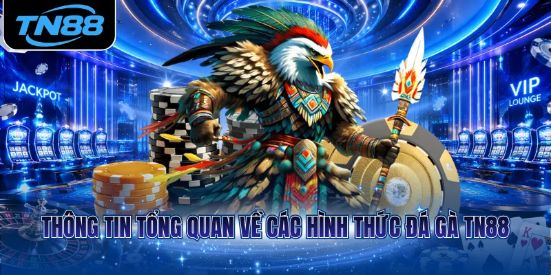 Thông tin tổng quan về các hình thức đá gà TN88
