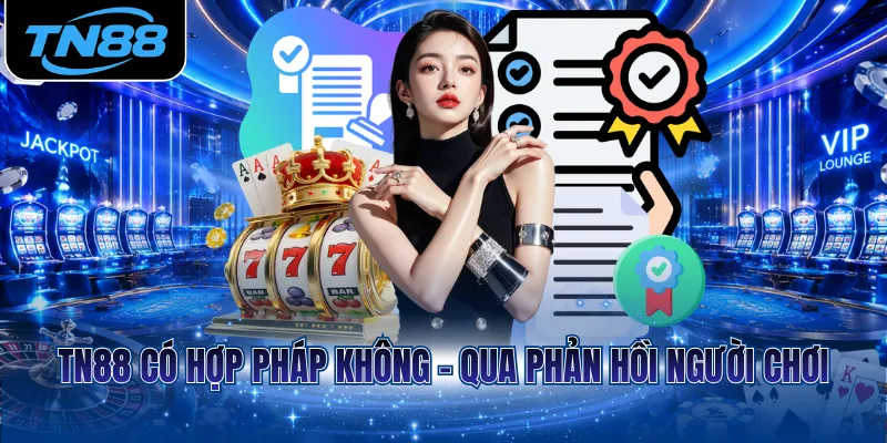 TN88 có hợp pháp không - Qua phản hồi người chơi