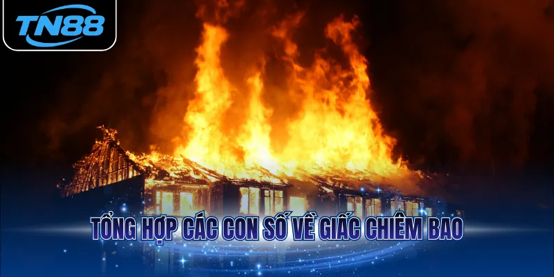 Tổng hợp các con số về giấc chiêm bao